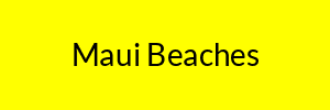 Maui Beaches